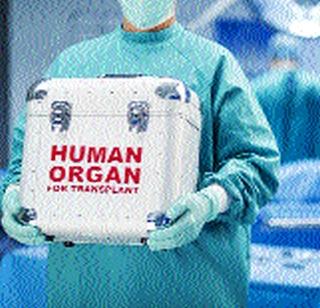 Organ transplant without police verification | पोलीस पडताळणीशिवायच अवयव प्रत्यारोपण