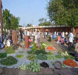 Dhule farming is smooth; Inward Decrease | धुळे कृउबात व्यवहार सुरळीत; आवक कमी