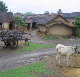 NRIs adopt 500 villages to adopt | अनिवासी भारतीय 500 गावांना घेणार दत्तक