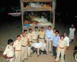 The cattle transporter caught the truck | गोवंश वाहतूक करणारा ट्रक पकडला The cattle transporter caught the truck | गोवंश वाहतूक करणारा ट्रक पकडला