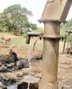 Fluoride water in 74 villages in the district | जिल्ह्यातील ७४ गावात फ्लोराईडयुक्त पाणी Fluoride water in 74 villages in the district | जिल्ह्यातील ७४ गावात फ्लोराईडयुक्त पाणी