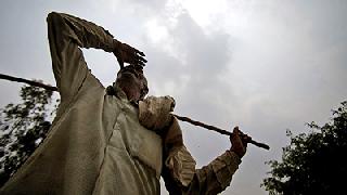 The beggar's eyes on the rabbit's salute | मृगाच्या सलामीकडे बळीराजाचे डोळे