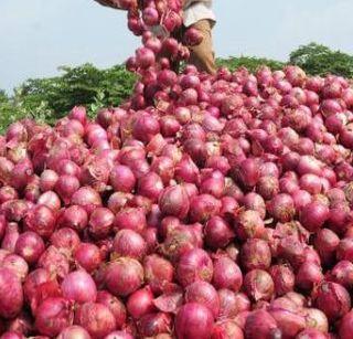 Extension of onion export promotion scheme till June 30 | कांदा निर्यात प्रोत्साहन योजनेला 30 जूनपर्यंत मुदतवाढ