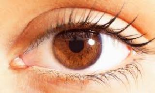 Eye donation increased women's percentage! | नेत्रदानात महिलांचा टक्का वाढला!