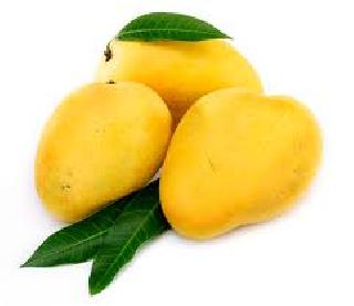 Are you keen on mangoes? | आंब्यावर ताव मारता आहात की नाही?