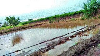 Rainfall everywhere in the district | जिल्ह्यात ठिकठिकाणी पाऊस Rainfall everywhere in the district | जिल्ह्यात ठिकठिकाणी पाऊस