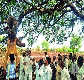 Farmers raised 'Inverted Hang' movement! | शेतक-यांनी केले ‘उलटे टांगो’ आंदोलन!