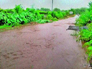 The Niphad taluka has lost its rains | निफाड तालुक्याला पावसाने झोडपले The Niphad taluka has lost its rains | निफाड तालुक्याला पावसाने झोडपले