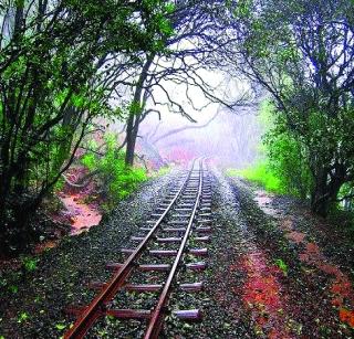 Matheran's 'queen' to run in fog | धुक्यातून धावणार माथेरानची ‘राणी’