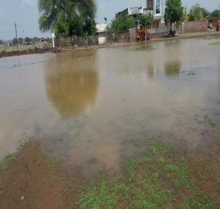 Heavy rains in Washim district; 143 millimeter record | वाशिम जिल्ह्यात दमदार पावसाची हजेरी; १४३ मिलीमीटरची नोंद