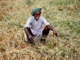 In the Satara district, farm loans of Rs 154.31 crore were exhausted | सातारा जिल्ह्यात १५४.३१ कोटींचे शेती कर्ज थकीत