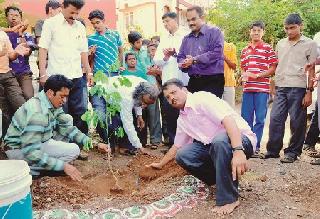 Janardan Bhosalee's five thousand trees have been planted | जनार्दन भोसलेंनी केली पाच हजार वृक्षलागवड