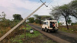 Electric Pole Wood Support! | विद्युत खांबाला लाकडाचा आधार!