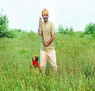 The thing to experience the sound of nature ..! | निसर्गाचा आवाज अनुभवण्याची गोष्ट..!