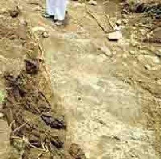 Pusad taluka has 304 mm rain | पुसद तालुक्यात ३०४ मिमी पाऊस Pusad taluka has 304 mm rain | पुसद तालुक्यात ३०४ मिमी पाऊस