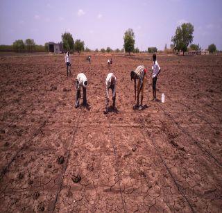 Farmers in Dhule district: Waiting for strong rain! | धुळे जिल्ह्यात शेतक:यांना दमदार पावसाची प्रतीक्षा!