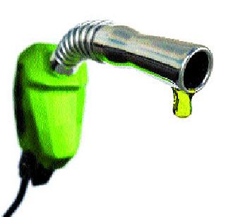 Two pump seals in suspicion of petrolery | पेट्रोलचोरीच्या संशयाने दोन पंप सील