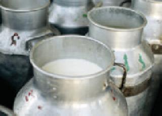 Milk Union only 200 liters! | दूध संघ केवळ २०० लिटरचा! Milk Union only 200 liters! | दूध संघ केवळ २०० लिटरचा!