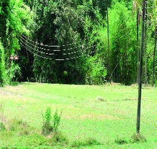 Electric current star on the ground! | विद्युत प्रवाहाच्या तारा जमिनीवर!