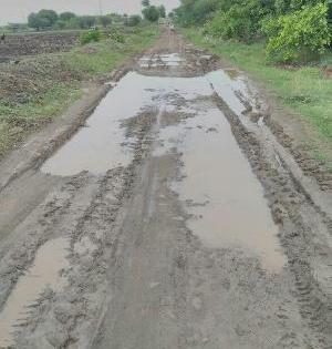 PALSHI-MANKRANWADI Road disturbance | पळशी-मनकर्णवाडी रस्त्याची दुरवस्था