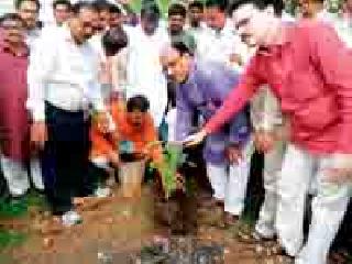 Welcoming the Greenland Organization's Treefront | ग्रीनअर्थ आॅर्गनायझेशनच्या वृक्षदिंडीचे स्वागत