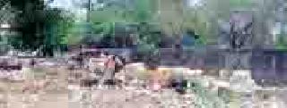 Swine flu spread in State Bank colony | स्टेट बँक कॉलनीत पसरतोय स्वाईन फ्लू Swine flu spread in State Bank colony | स्टेट बँक कॉलनीत पसरतोय स्वाईन फ्लू