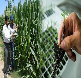 Agricultural University's announcement is postponed! | कृषी विद्यापीठाची घोषणा लांबणीवर!