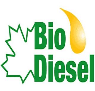 ST ready to run on 'biodiesel' | ‘बायोडिझेल’वर धावण्यासाठी एसटी सज्ज