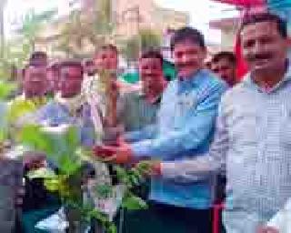 Launch of 'Seedlings Your Dari' Scheme | ‘रोपे आपल्या दारी’ योजनेचा शुभारंभ Launch of 'Seedlings Your Dari' Scheme | ‘रोपे आपल्या दारी’ योजनेचा शुभारंभ