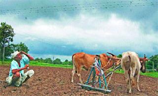 पावसाअभावी पेरण्या खोळंबल्या