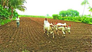 Start of sowing in the district | जिल्ह्यात पेरण्यांना प्रारंभ