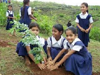 8.52 lakhs of trees in Buldana district will be planted | बुलडाणा जिल्ह्यात ८.५२ लाख वृक्षांची होणार लागवड