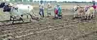 Sowing of six lakh hectors is left out | सहा लाख हेक्टरांतील पेरण्या खोळंबल्या