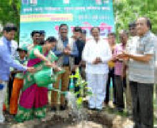 Plant a tree, like a child: Guardian Minister Vijaykumar Deshmukh | एक तरी झाड लावा, मुलासारखे संगोपन करा : पालकमंत्री विजयकुमार देशमुख