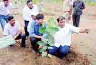 The resolution of four crore trees from the people's participation | लोकसहभागातून चार कोटी वृक्षलागवडीचा संकल्प