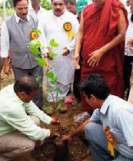 The need for timely planting of trees for environmental balance | पर्यावरण संतुलनासाठी वृक्ष लागवड काळाची गरज