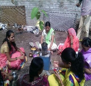 Before planting the trees, worship the seedlings! | वृक्ष लागवडीपूर्वी रोपट्यांची सहकुटुंब पूजा!