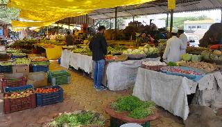 Due to the rains, the fruit market in Kolhapur was scraped | पावसामुळे कोल्हापूरातील फळबाजार गारठला