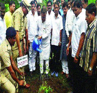 Tree planting is beneficial for the environment | पर्यावरणासाठी वृक्षलागवड लाभदायी