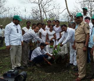 Birthday tree at Savarkhed! | सावरखेड येथे वृक्षांचा वाढदिवस!