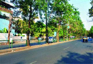 Road to excavate billions of rupees | कोट्यवधी रुपयांचे पुन्हा खोदणार रस्ते Road to excavate billions of rupees | कोट्यवधी रुपयांचे पुन्हा खोदणार रस्ते