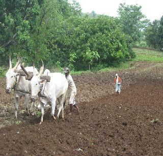 1 lakh 9 40 farmers of Konkan are in debt waiver | कोकणातील १ लाख ९४० शेतकऱ्यांना कर्जमाफी