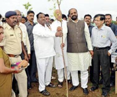 Planting of 38 lakh trees in the district so far | जिल्ह्यात आतापर्यंत ३८ लाख वृक्षांचे रोपण Planting of 38 lakh trees in the district so far | जिल्ह्यात आतापर्यंत ३८ लाख वृक्षांचे रोपण
