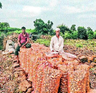 The wicker took the onion and saw it | वखारीतला कांदा लागला सडू