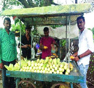 Employment to many landlords who give jobs to many landowners | भुट्टा देतोय अनेक भूमीपुत्रांना रोजगारभुट्टा देतोय अनेक भूमीपुत्रांना रोजगार