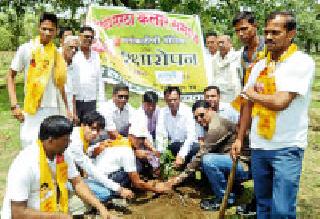 In the district, the cultivation of trees at all places in the district | जिल्ह्यात ठिकठिकाणी वृक्ष लागवडीला वेग