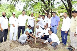 Fifty-five trees and mothers will be respected | पाचशे झाडे लावून आईला वाहिली आदरांजली