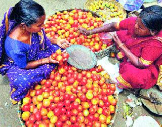 Tomato fast | टमाटा तेजीत