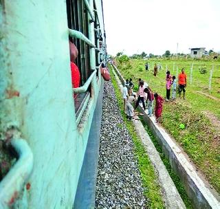 Train hits cattle flock; Two cows died | रेल्वेची जनावरांच्या कळपाला धडक; दोन गायींचा मृत्यू