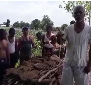 Video: The farmer composed the opposition to his cheetah, "prosperity" | Video: शेतकऱ्यानं रचली स्वतःची चीता, "समृद्धी"ला विरोध तीव्र